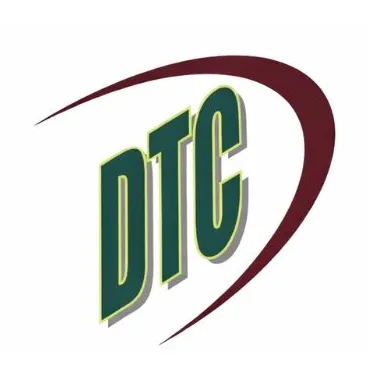 Dolphin Logo Icon
